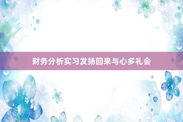 财务分析实习发扬回来与心多礼会